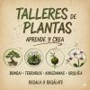 Talleres de plantas