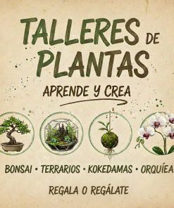 Talleres de plantas