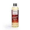 Recambio Mikado 200 ml -  Ginger Dust (Boles d'Olor)
