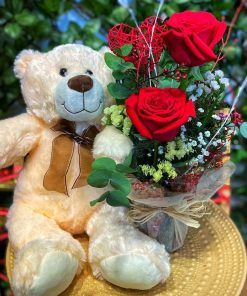 Rosas rojas + Osito de peluche