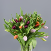 Ramo Tulipanes