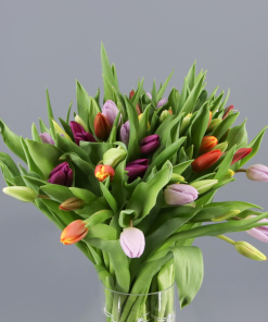 Ramo Tulipanes