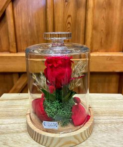 Rosa preservada cúpula de cristal - Imagen 6
