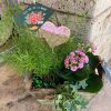 Cajita con plantas y decoración