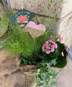 Cajita con plantas y decoración