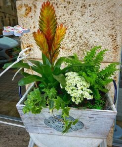 Alternative view of Cesta o caja de plantas