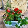 Cesta o caja de plantas